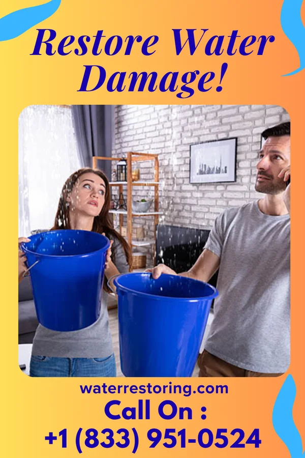 water restoration Empire Flood Mitigation Inc Pleasantville