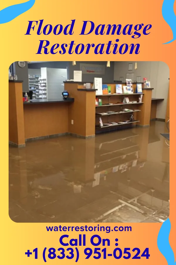 Flood Damage Restoration in Pleasantville, NY