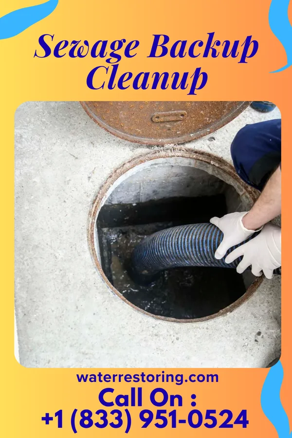Sewage Backup Cleanup in Pleasantville, NY
