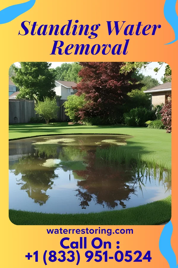 Standing Water Removal in Pleasantville, NY